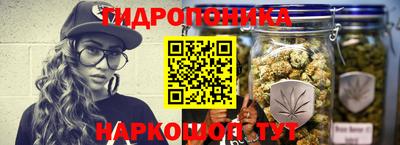круглые Бийск