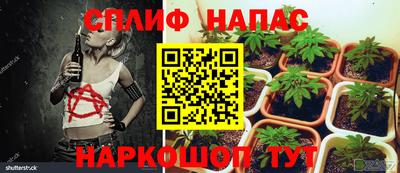 круглые Бийск
