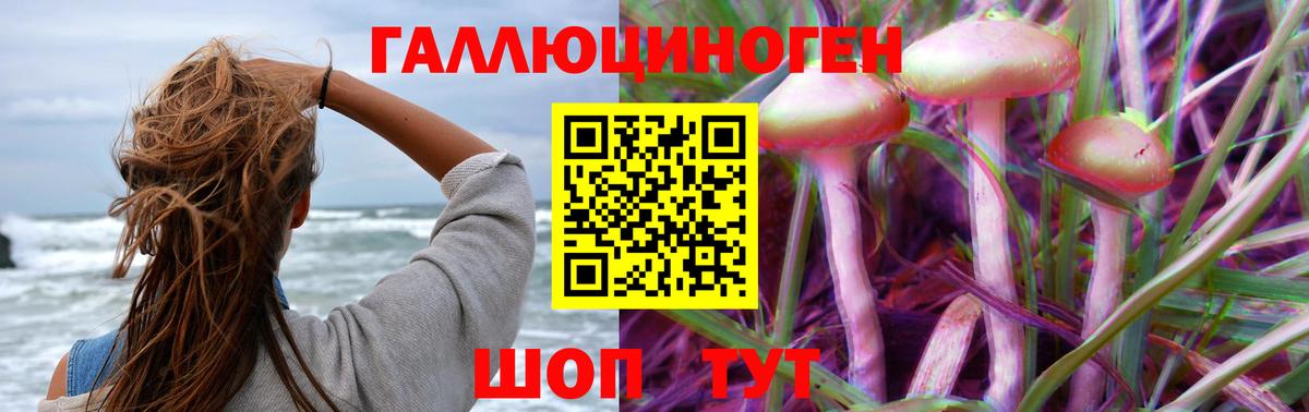 Галлюциногенные грибы Psilocybe  Вход с VPN  Владимир 
